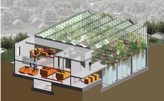 技術交流 生長中的未來——探索FCR花園式污水處理技術